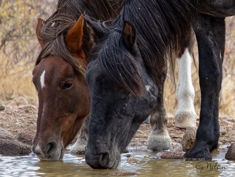 Welcome to Our Page!