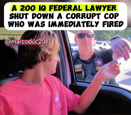 200 IQ” Lawyer Outsmarts Officer During Traffic Stop — What Happened Next Shocked Everyone