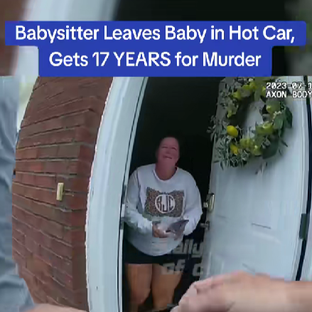 The Heartbreaking Cost of Negligence: When a Moment of Forgetfulness Becomes a Lifetime of Regret