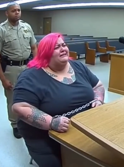 Top 10 Criminals Who Defended Themselves — And Turned the Courtroom Into Chaos