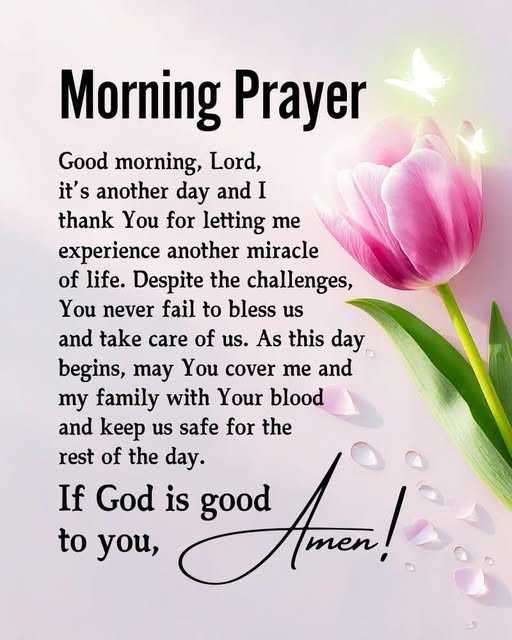 Thank You, Father God ❤️💗🙏