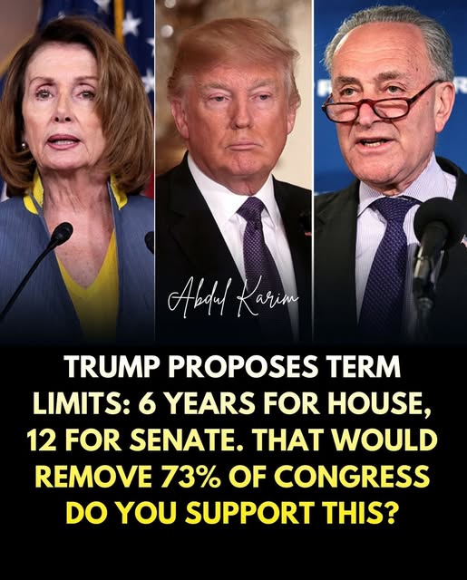 “Would Term Limits Shake Up Washington? The 6-and-12-Year Plan Sparking a New Power Debate”