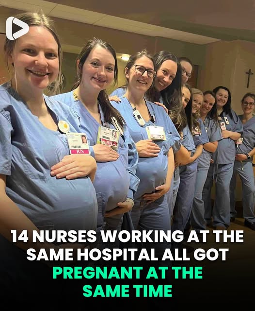 14 Nurses Who All Worked At The Same Hospital All Got Pregnant At The Same Time