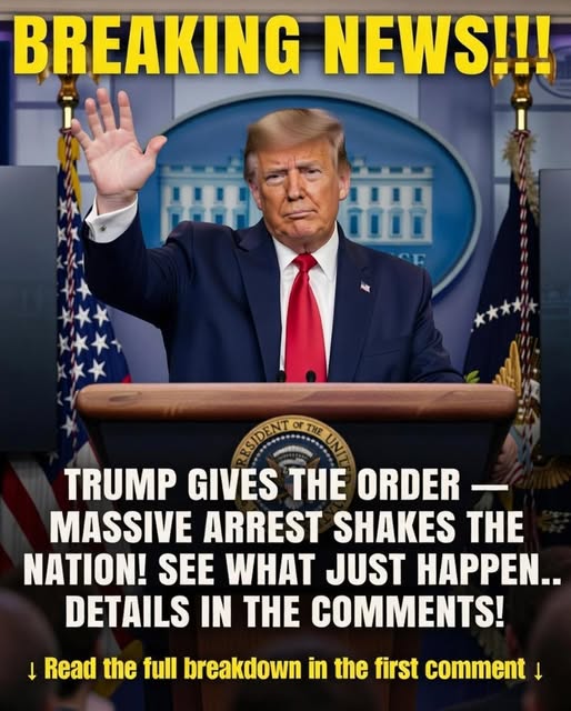 Law Enforcement Confirms Arrest After Months-Long Investigation