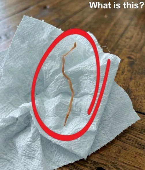 I Started Cooking Pork Ribs — Then I Saw Something That Made Me Freeze
