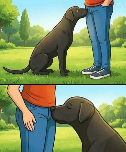 If A Dog Smells You There — Here’s What It Actually Means (And It’s Not What You Think)