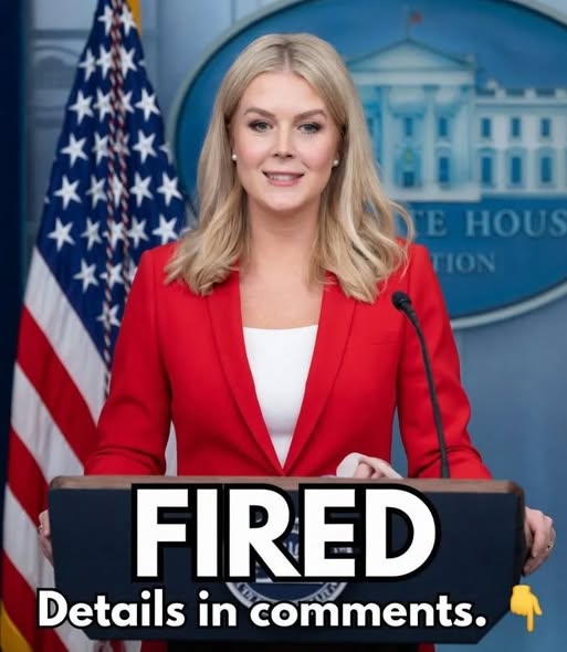 🔵 Political News · Washington D.C. · Special Report