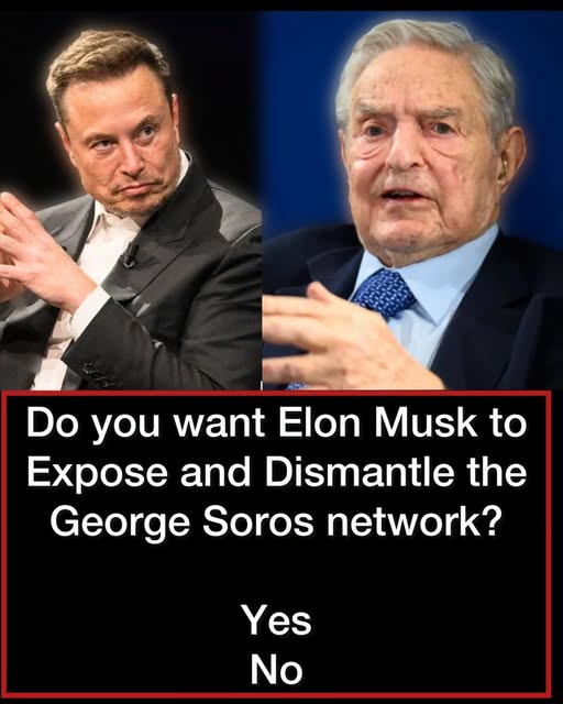 Do You Want Elon Musk to Expose and Dismantle the George Soros Network?