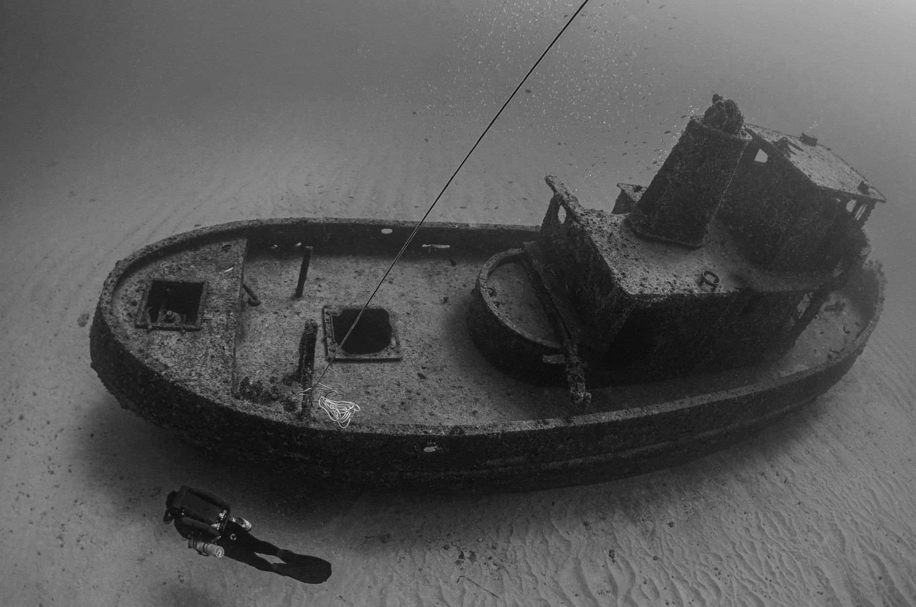 Divers exploring a sunken ship 80 years underwater found something that should never have survived