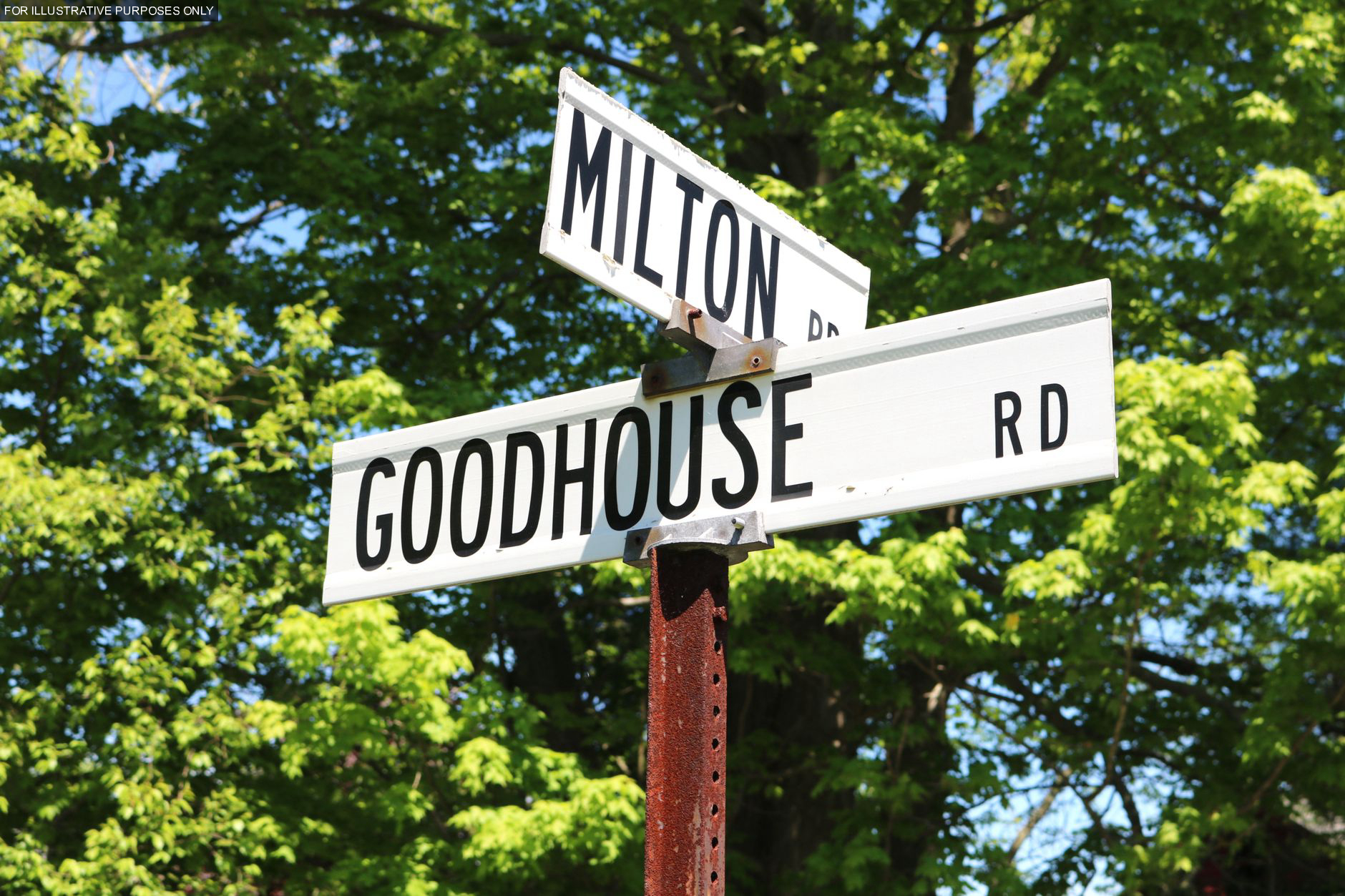 My mother tried to sign our childhood home over to my golden-child brother behind my back — she forgot whose name was still on the original deed