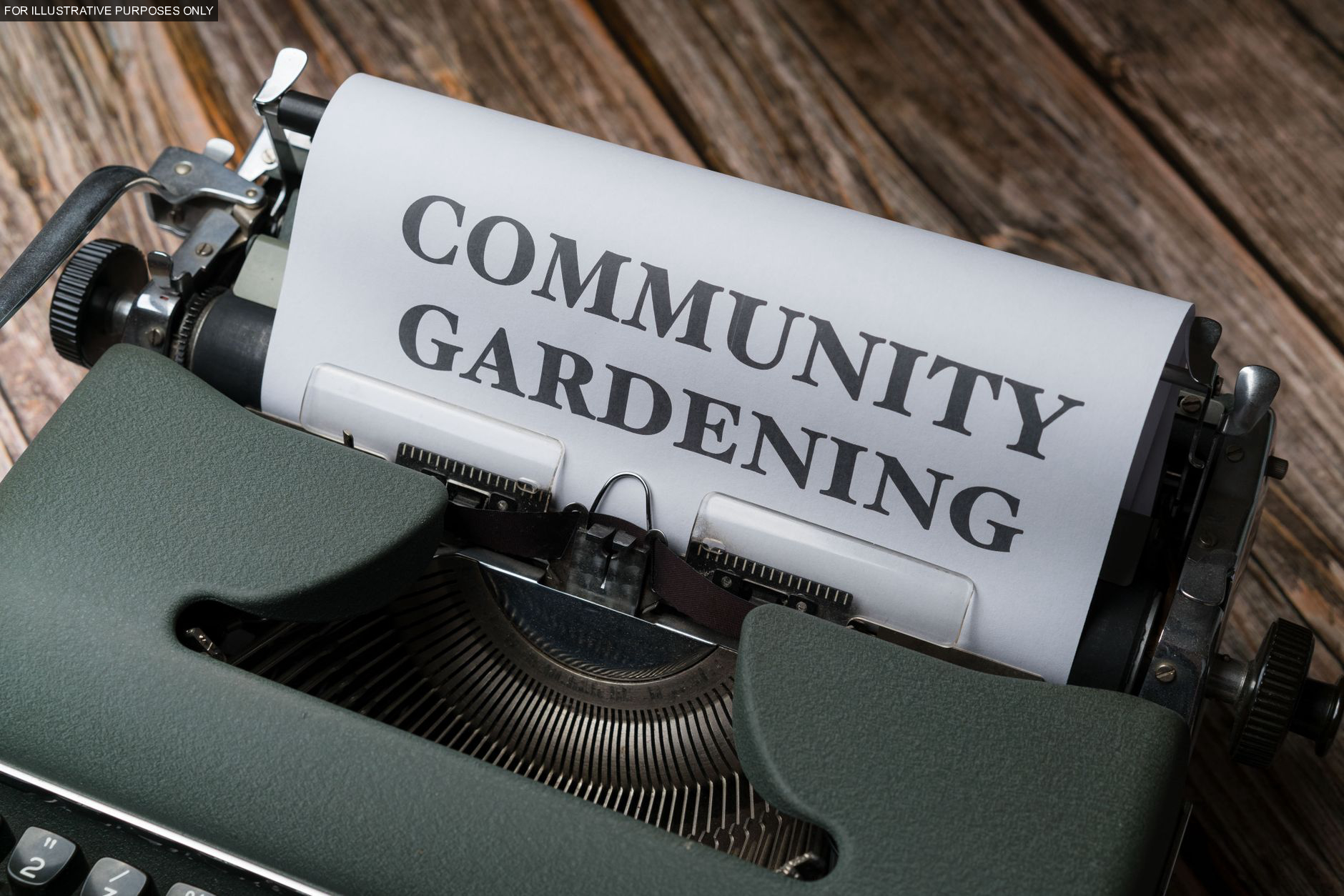 My uncle claimed at a city council meeting that the community garden my daughter and I had built on our lot over four years was an unauthorized land use, and he had a petition — I had the conditional use permit, the registered nonprofit status, and a council member who had planted seedlings there with my daughter in the spring.